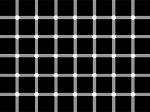 Hermann Grid Illusion