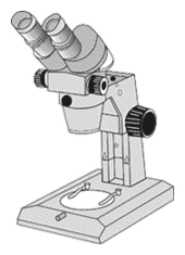 Binocular microscope